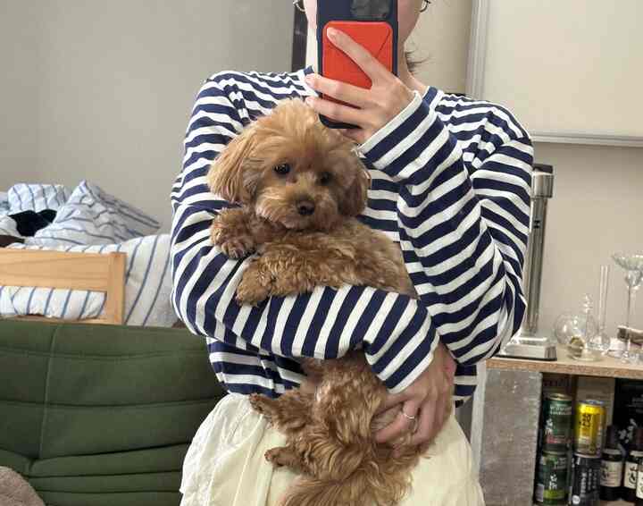 一緒に撮ったよ
#トーゴソファ
#賃貸リビング