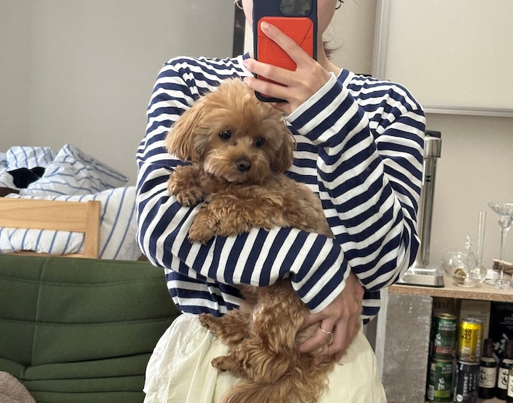 short form carousel card thumbnail