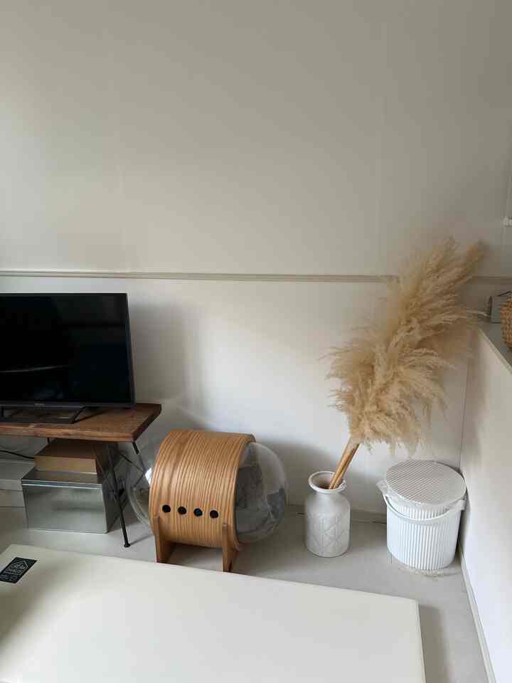 白と木目調が調和する小さなリビング、テレビ台と球形のペットハウスが配置された空間