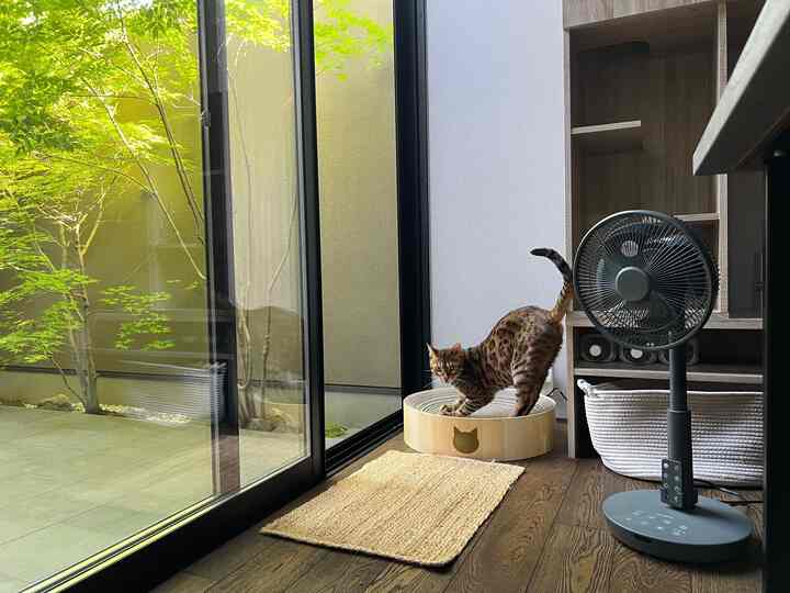 ナチュラルな木目調フローリングの狭い部屋にキャットスクラッチャーとベンガル猫がいる雰囲気のあるインテリア