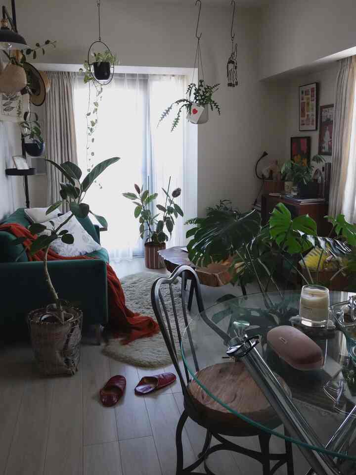 こう見ると観葉植物がいっぱい🪴

#観葉植物 #インテリアグリーン #ハンギングプラント #ハンギンググリーン #ガラステーブル #コーヒーテーブル #グリーンソファ #リビングインテリア 