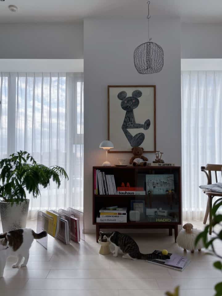 White-walled 6-tatami living room featuring a wooden bookshelf and two cats in a warm, cozy atmosphere
