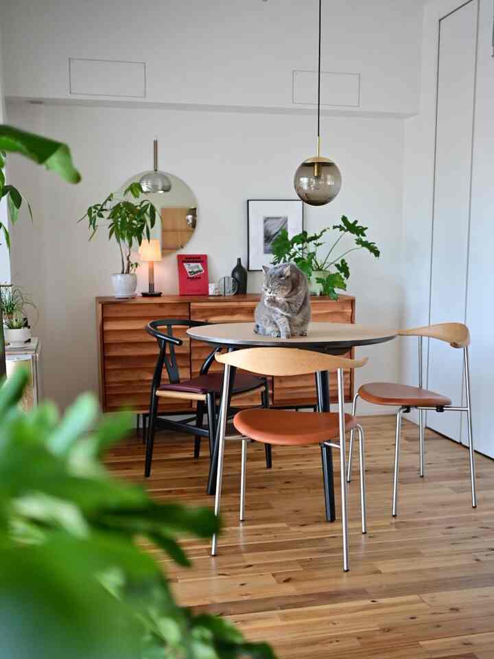 Beige-toned dining room with wooden furniture, featuring a cat sitting on the central table in a natural and simple space
