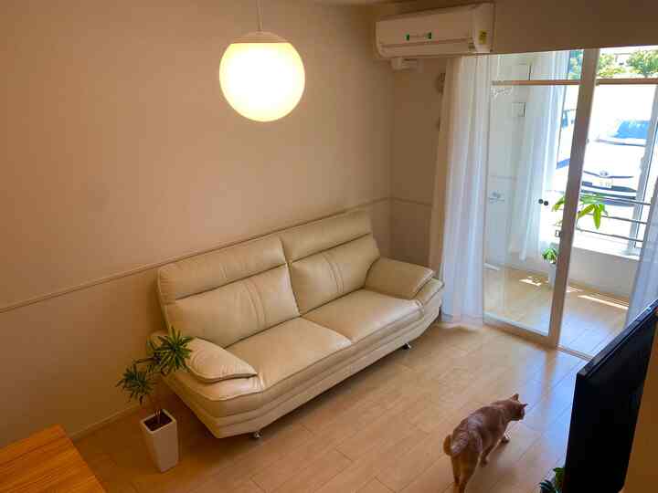 白とナチュラルカラーのリビング、白いレザーソファと丸いペンダントライト、床に猫がいる温かみのある空間