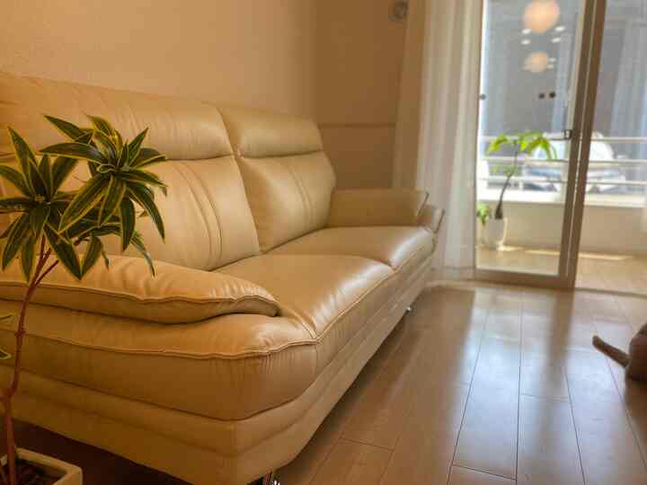 ベージュ色調のリビング、アイボリーの高級レザーソファと観葉植物が配置された明るく落ち着いた雰囲気のインテリア