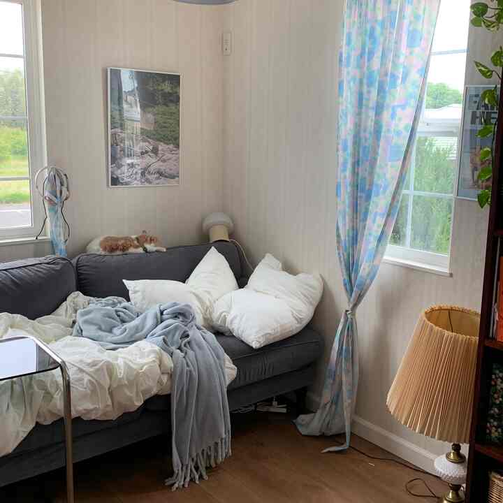 グレーのソファとパステルブルーの花柄カーテン、壁にポスター、ソファの上に猫がいる居心地の良いリビングスペース