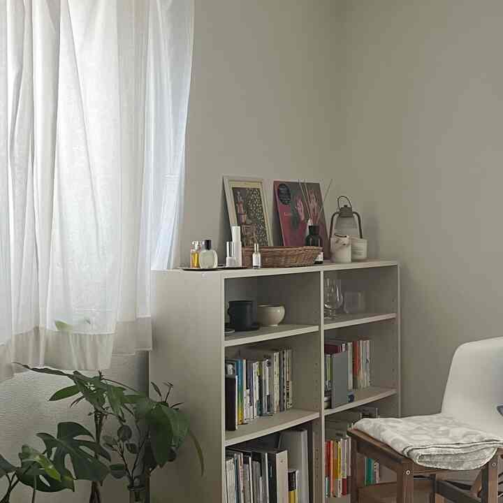 A white-toned serene living room featuring a bookshelf and plant, creating a natural and calm atmosphere