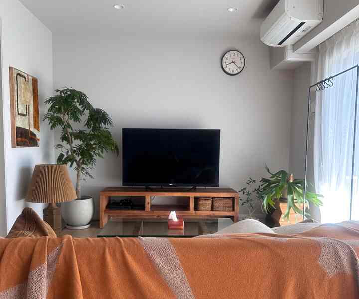 ナチュラルな色調のリビング、オレンジのブランケットがかかったソファと木製テレビ台、複数の植物が配された暖かみのある空間