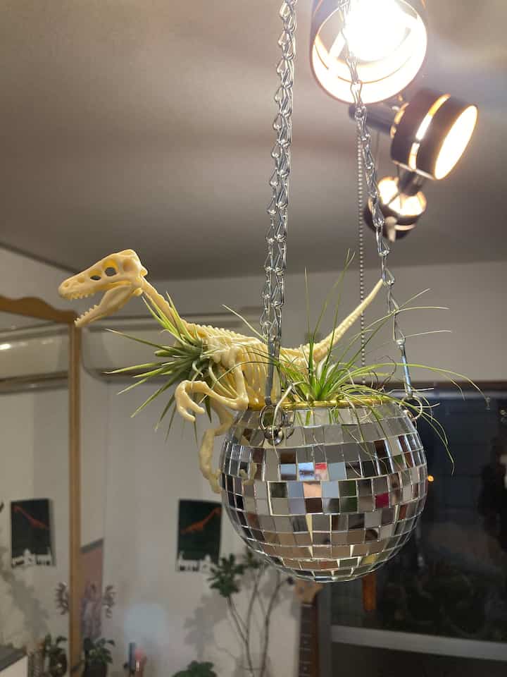 I'm looking forward to making the room sparkly with a mirror ball. #mirrorball #airplants #vintage #vintageatmosphere #DAISO #Seria