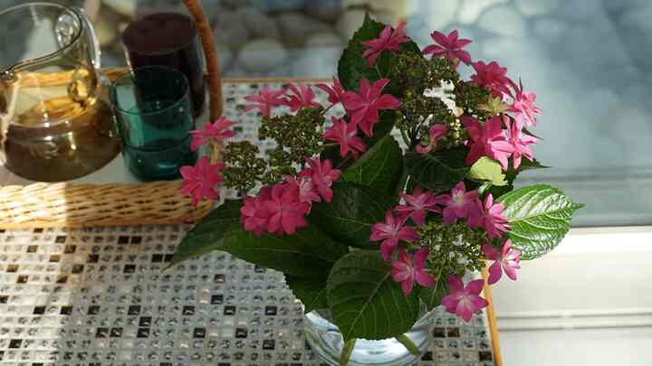 ありがたいことにSeason6 アンバサダーとして6月からも投稿させてもらいます(^^)
みなさんの素敵なルームを拝見できるのも楽しみです♪

#紫陽花 
#フラワー 
#フラワーインテリア 
#北欧 
#北欧インテリア 
#北欧ヴィンテージ 
#グラス 
