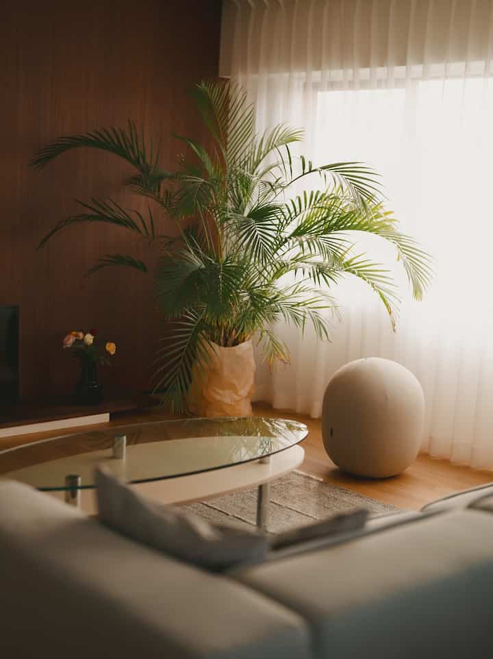 夕方🌇

#リビングルーム #boconcept