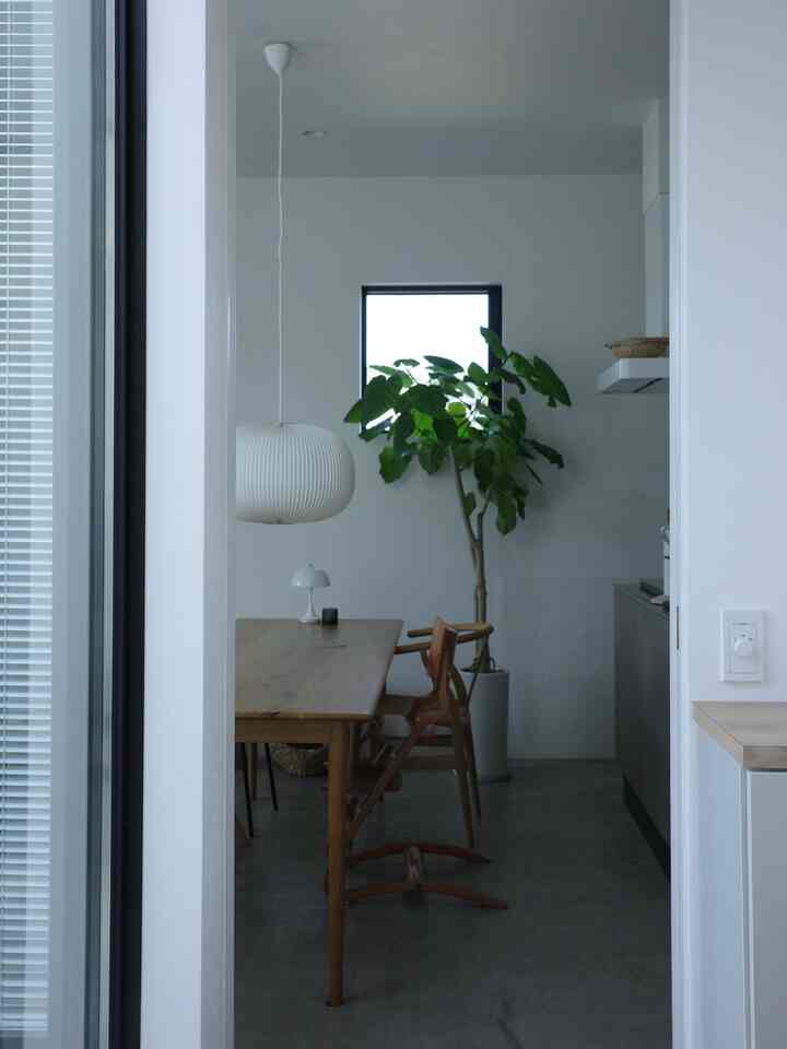 白とグレーの色調のダイニングルーム、木目のテーブルと椅子、大きな観葉植物とペンダントライトが調和したモダンで自然な雰囲気のインテリア