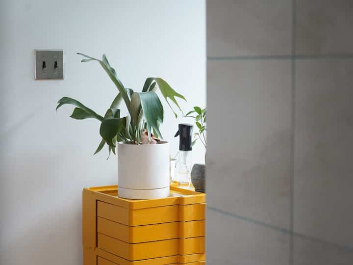 我が家の差し色🟡

#ボビーワゴン
#サンルーム
#収納 
 #ohousejp #ohhousesnap