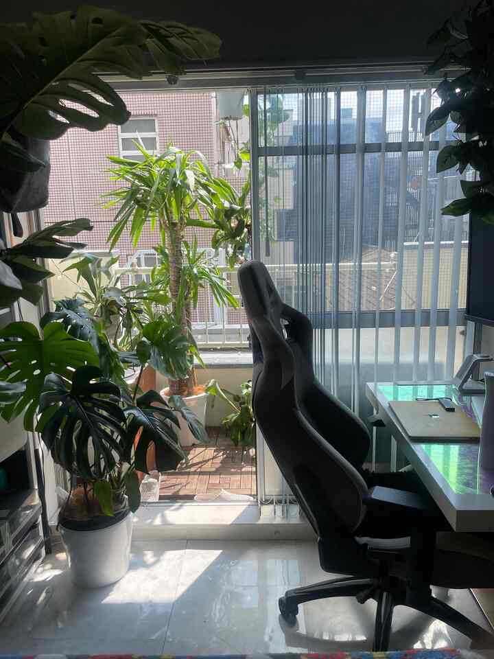 Ohouse初ポストです✨
東京でのんびりインテリアと植物を楽しんでいます。

植物は今年始めたので色々ポストしていきたいと思います🪴

#イケア #IKEA #ワンルーム #賃貸 #モンステラ #ビカクシダ 