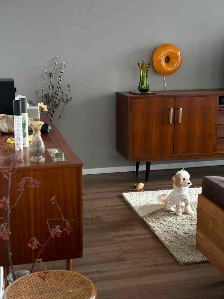 木目調とナチュラルカラーが調和したミッドセンチュリーモダンのリビング、ラグの上に座る犬がいる落ち着いた空間