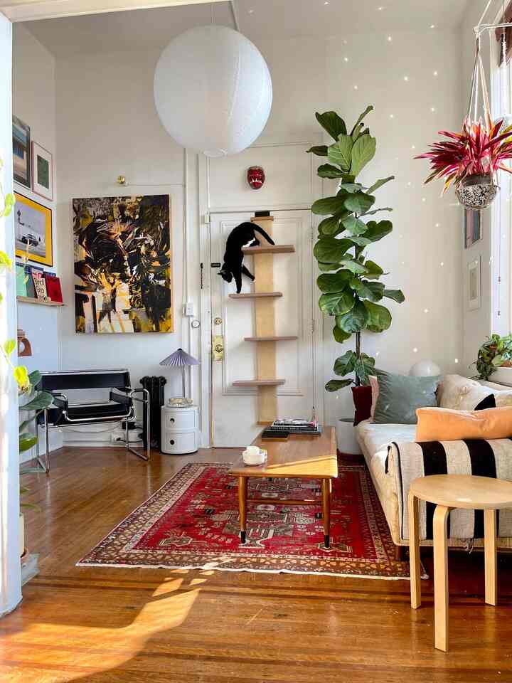 Natural-toned living room featuring a sofa near the window, large plants, and a cat tower creating a cozy atmosphere