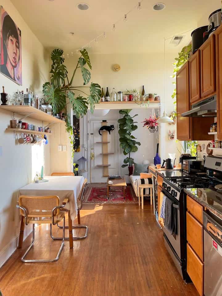 Cozy compact kitchen and dining room with brown wood tones and white walls, decorated with plants and a cat tower
