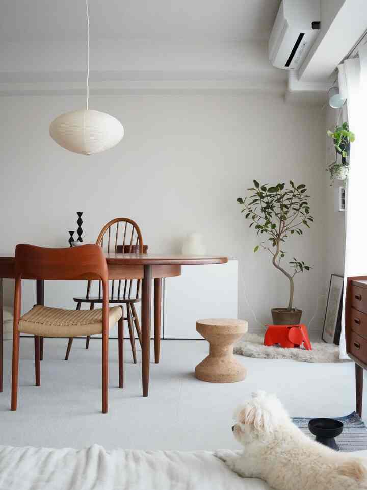 0歳のベビーと3歳のわんこと、3人と1匹で小さなマンションに暮らしています。温かさと冷たさの共存をテーマに、我が家のささやかなお部屋やインテリアアイテムを投稿していきます。

#2LDK 