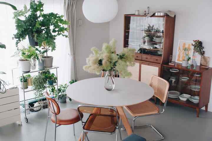 スモークツリーを生けました！存在感がすごい笑 もこもこ感がたまらないですね💨 枝物といえばドウダンツツジが定番ですが、この時季スモークツリーもおすすめです。 #スモークツリー #枝物