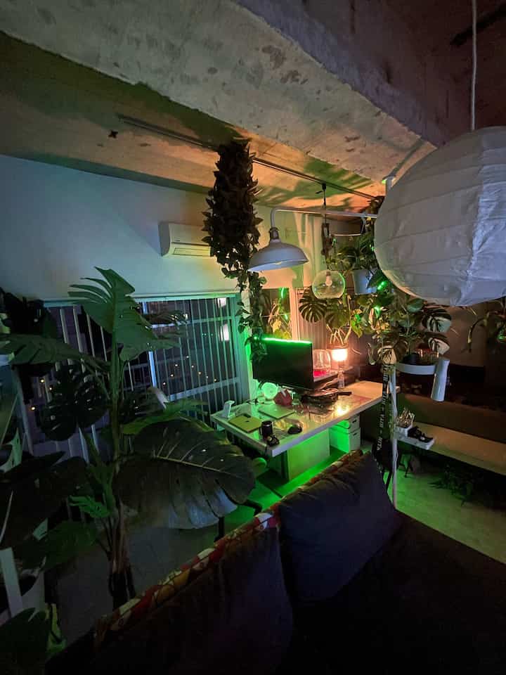 夜は昼間と大きく印象が変わってネオンライトの空間になります。

最近は暑いので間接照明だけですごすこともしばしば。

#ワンルーム #賃貸 #ビカクシダ #モンステラ #インテリア #vaporwave #IKEA #イケア 