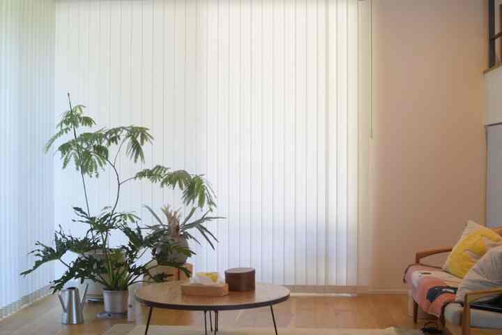 リビングはどうしても作りたかった吹き抜け。植物を窓際に配して、少しごちゃついた印象になっちゃってます笑　それがなんとも心地よくてこのまま。ちなみに高低差をつけてなんとなくカッコよく配置しています。
植物は、エバーフレッシュ、ビカクシダのアヴィチー？、フィロデンドロンセローム。セロームの鉢は自分でシルバーにしました

#グリーン #グリーンインテリア #エバーフレッシュ #ビカクシダ #フィロデンドロン #ペーパーナイフソファ