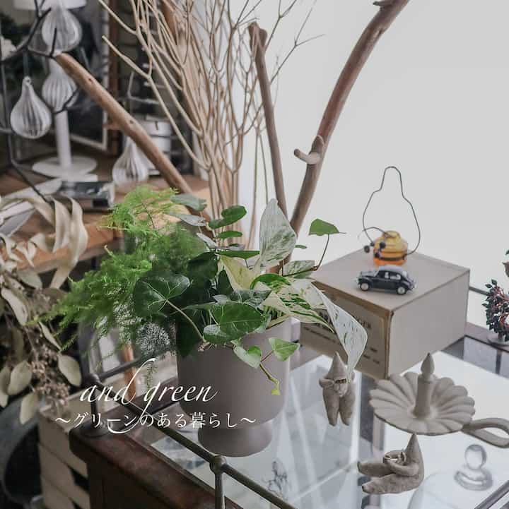 土を使わないグリーン
虫嫌いにも安心安全♪

#andgreen #アンドグリーン #andgreenstyle
#土を使わないアンドグリーン
#PR