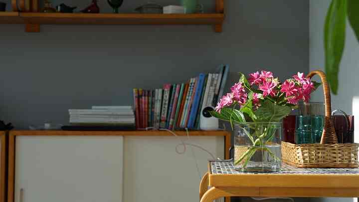 晴れたり、降ったり。
変わりやすい天気ですが、
朝がいちばん綺麗に光が入ります✨

#北欧 
#北欧インテリア 
#北欧スタイル 
#ヴィンテージ  
#グラス 
#フラワー 
#フラワーインテリア 
#Artek 
#alvaraalto 
#finnishdesign 
