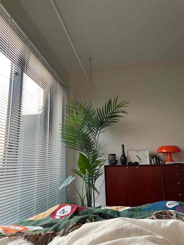 Bedroom with dominant white walls and blinds, featuring a brown dresser and green plant, creating a simple natural atmosphere