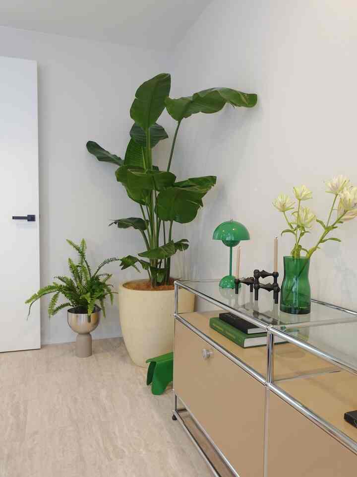 植物増えた🪴🪴

#interior #interiordesign #interiorstyling #livingroom #インテリア #インテリアデザイン 
#インテリアコーディネート #リノベーション
#usm #usmhaller #usmmodularfurniture #usmハラー #andtradition #アンドトラディション #stoffcandleholder #ikea #イケア #フラワーベース #vitra #ヴィトラ #aytm #biotop