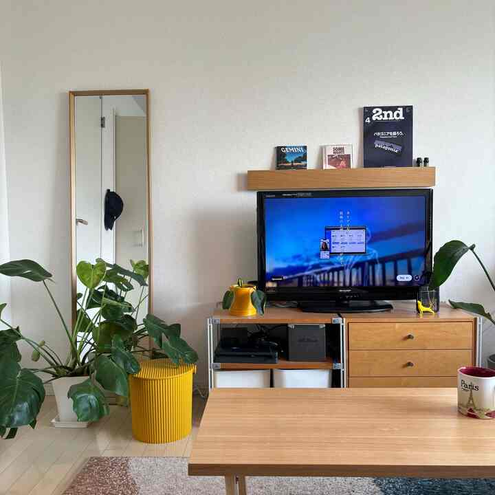 Natural wood-toned 1K living room for a single household featuring yellow accents and indoor plants creating a cozy atmosphere