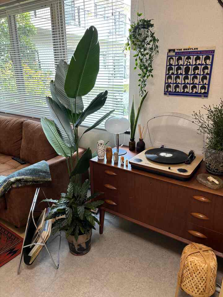 明るいリビングにブラウンのレザーソファと木目調のヴィンテージチェストが配置され、緑の植物が自然な雰囲気を醸し出すインテリア