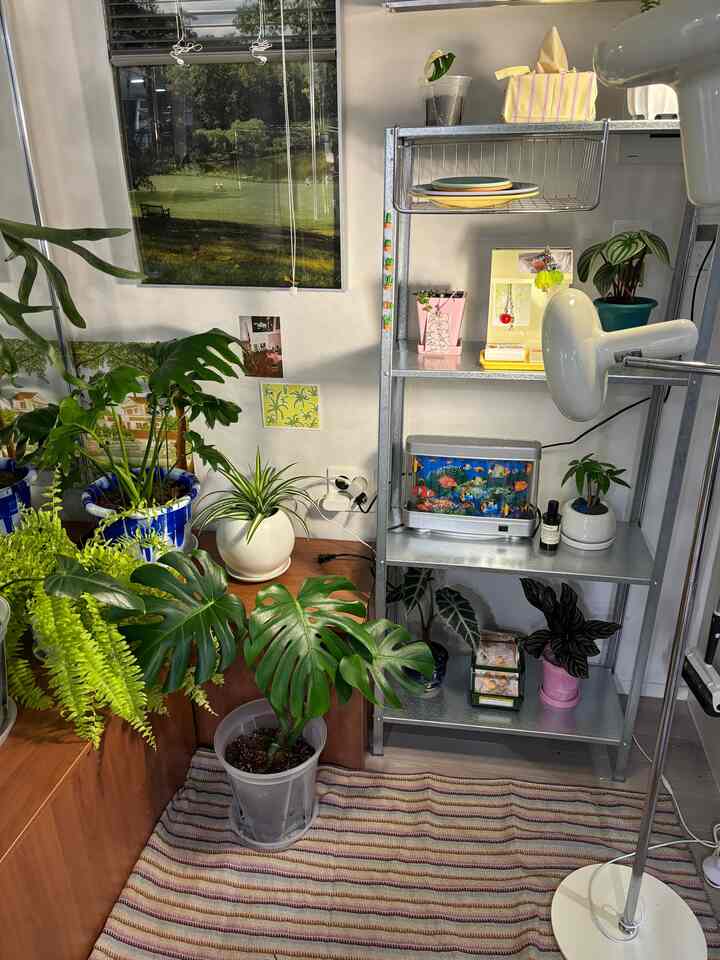 緑の植物と茶色の家具、シルバーの棚が配置された落ち着いたリビング空間