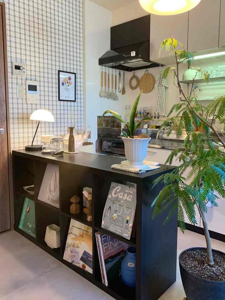 白と黒のキッチン空間で、棚と植物が配置された雰囲気のあるモダンなインテリア