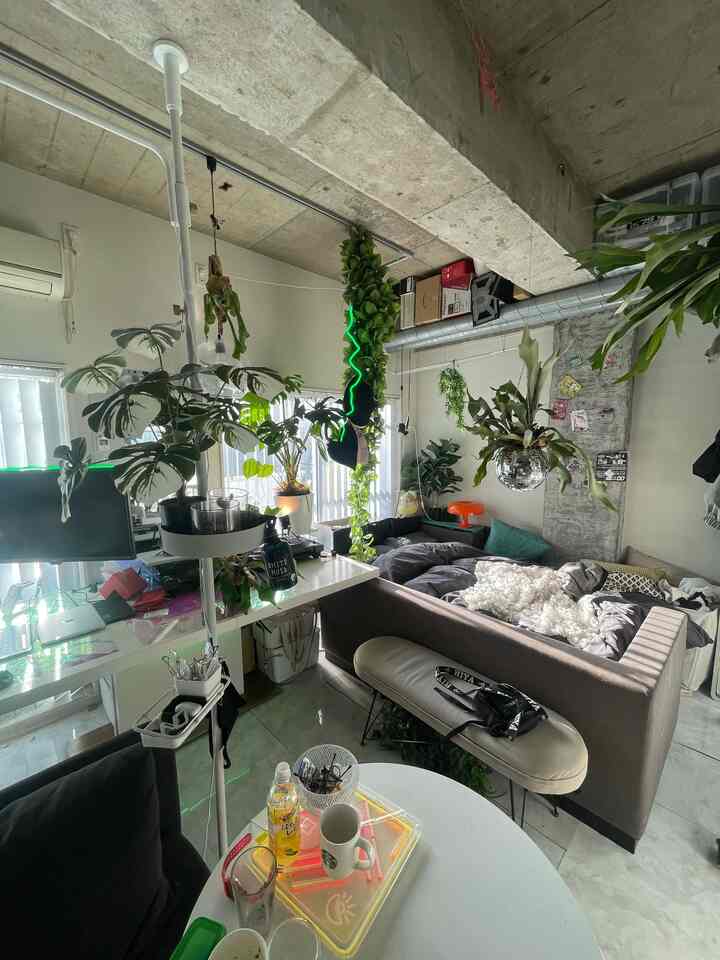 部屋の採光が良い時につい写真撮りがちです。散らかってますが、そこはご愛嬌です。

長らく椅子マニアしてましたが、ラフマのチェアが収納しやすくてお気に入りです💺

#賃貸 #ワンルーム #イケア #IKEA #観葉植物 #リノベーション #リノベ