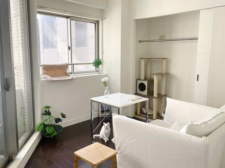 Monotone living room in white and brown tones for a single household, featuring cats and a cat tower with natural light