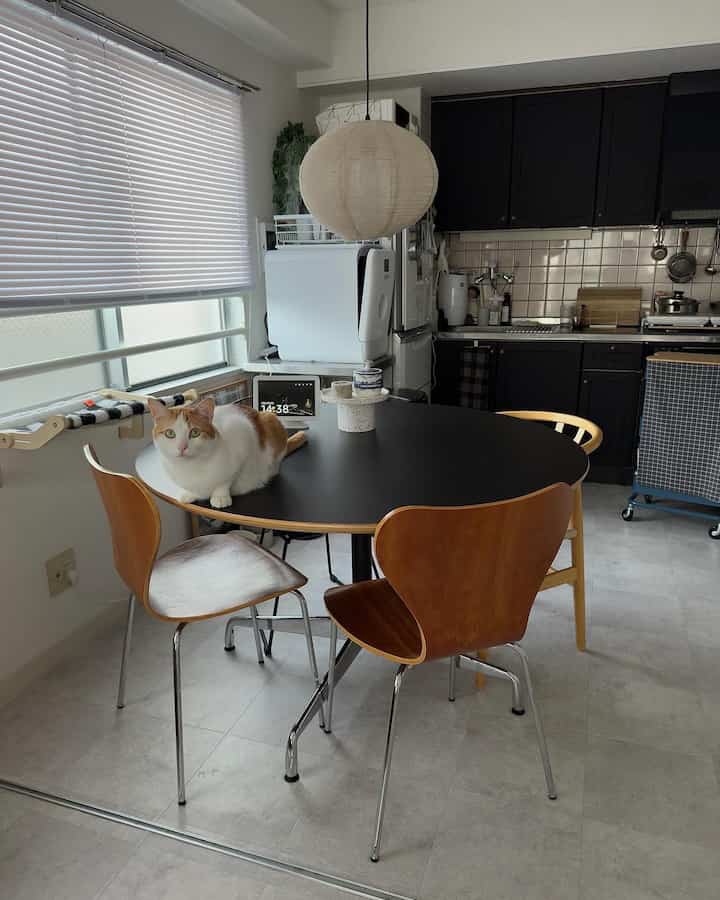 白い壁とブラインド、黒いダイニングテーブルに茶色い椅子が配置された一人暮らしのダイニングルーム、テーブルの上に猫がいるシンプルで落ち着いた空間