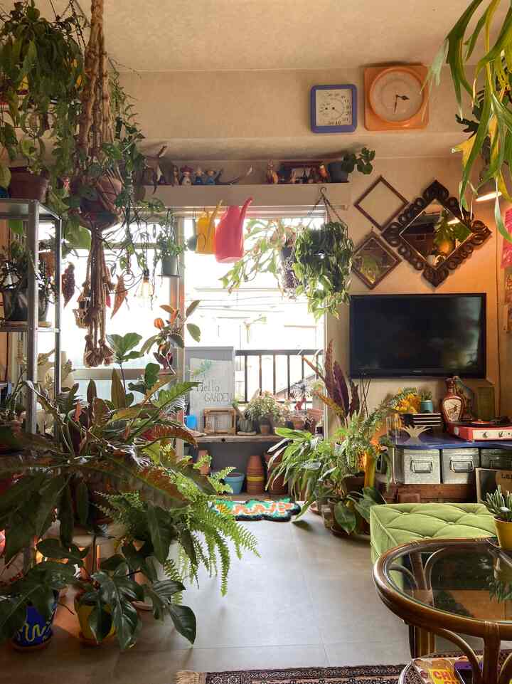 ベージュ色調の壁と豊かな緑の植物が配されたベランダとリビング、ヴィンテージ家具とソファが調和する温かみのあるインテリア
