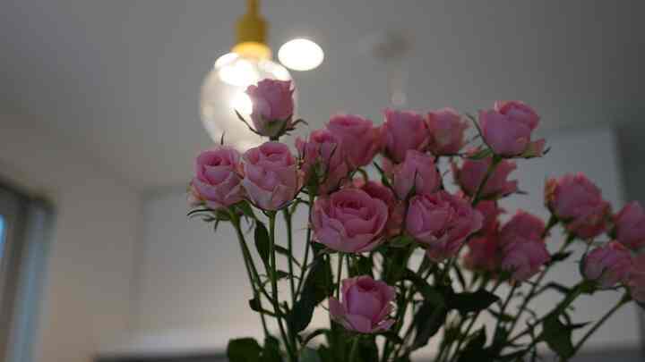 キッチンが華やかに✨

#キッチン 
#キッチン照明 
#花 
#バラ 
