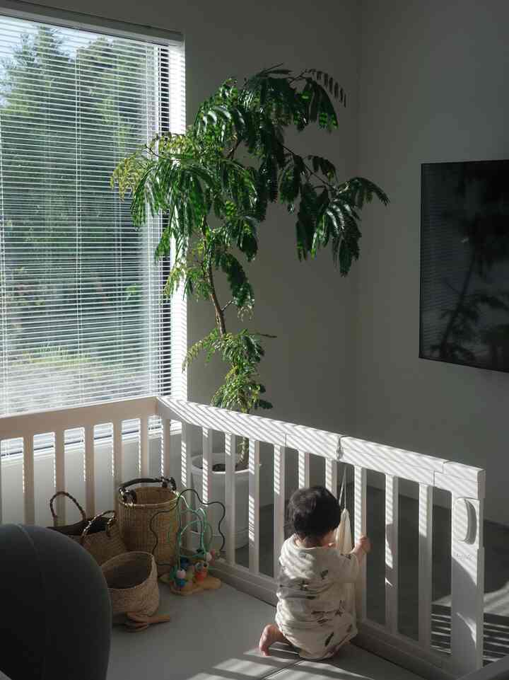 明るい陽射しが差し込む白を基調としたリビングのキッズスペース、緑の植物とおもちゃ収納、そして安全フェンスが配置された温かみのあるインテリア
