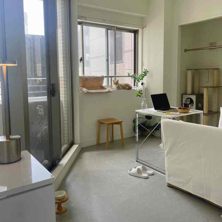 明るいモノトーンの1Kリビング、窓辺に猫とキャットタワーがあり、モダンなアームチェアと机が配置された清潔感のあるインテリア