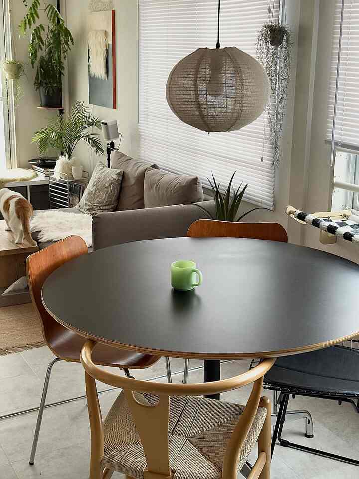 Natural-toned single household dining room featuring a black round dining table, wooden chairs, and a cat in a simple cozy setting