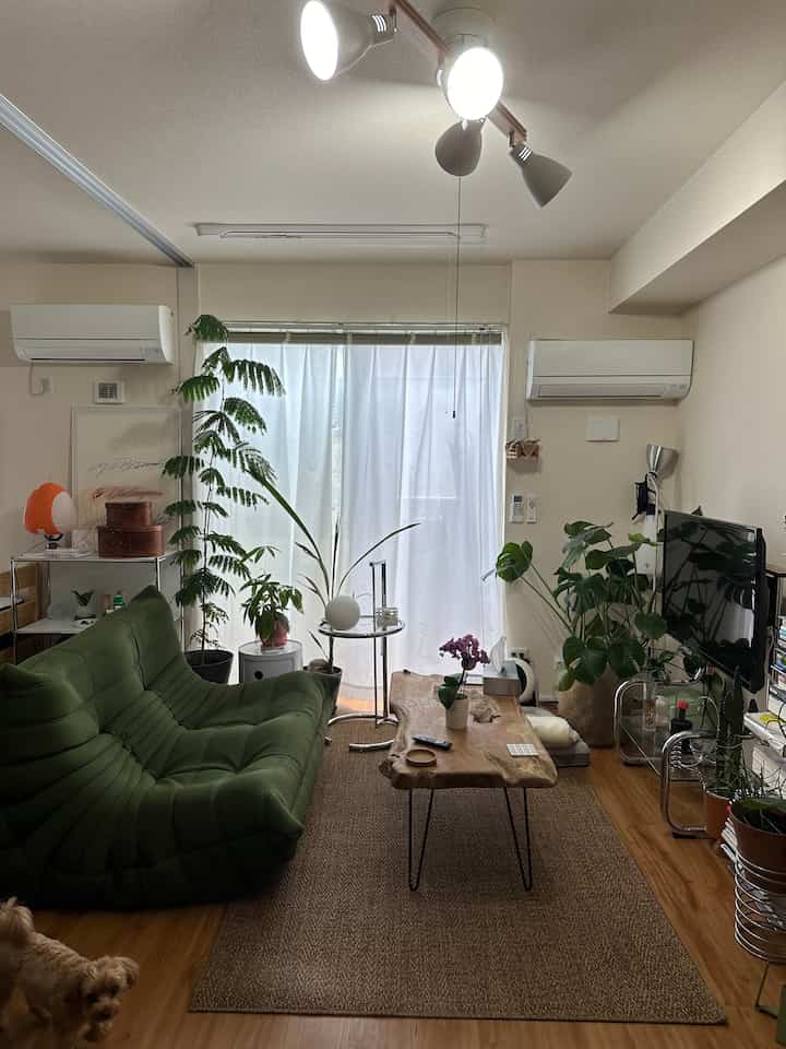 Natural color and green toned living room featuring green sofa, wooden coffee table, and multiple indoor plants creating an organic atmosphere
