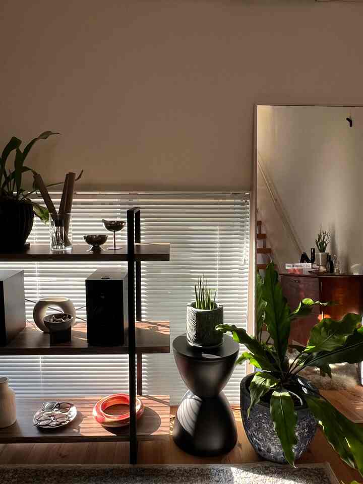 日当たり良いと映え感増します☺︎
#ルームツアー #一人暮らし #一人暮らしアイテム #インテリア #インテリア家具 #賃貸