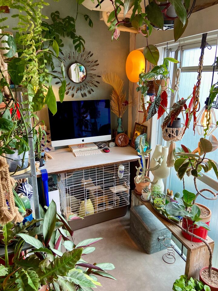 short form carousel card thumbnail