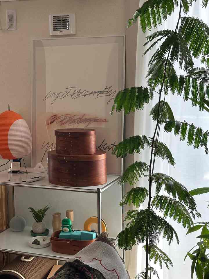 主張の強い恐竜
クッパって呼んでる🤣（AirPods）

#ディスプレイラック #イサム・ノグチ 