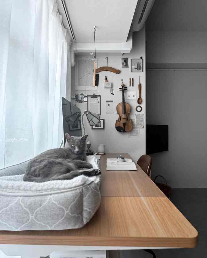 White and brown toned workspace featuring a cat resting on a pet bed by the window, with simple and natural interior design