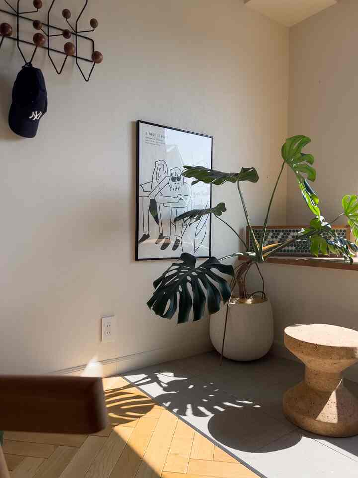 Natural-toned corner space featuring large leafy plant and cork stool with cozy atmosphere