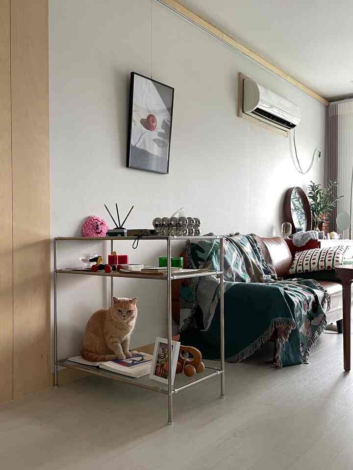 ナチュラルな色調のリビング、茶色のソファとメタルシェルフに猫が座る落ち着いた空間