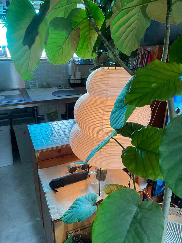 ナチュラルカラーのワンルームキッチンスペース、白い和紙のフロアランプと大きな緑の植物が配置された雰囲気のあるインテリア