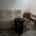 yuha_home